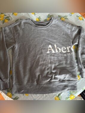 Abercrombie & Fitch Gray Logo Pullover Crewneck